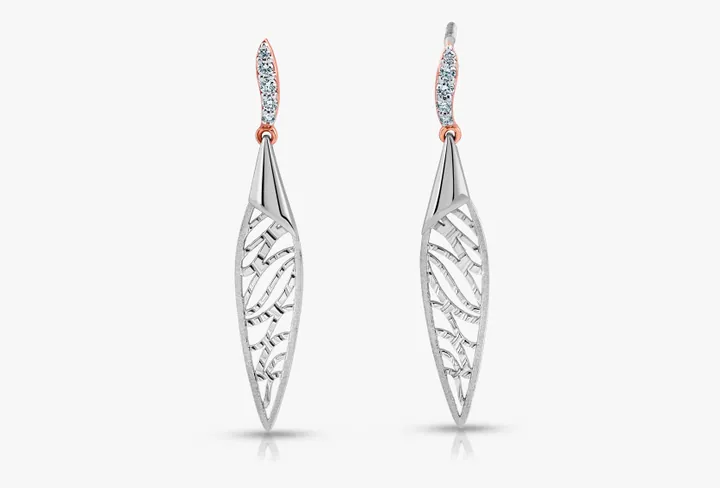 Evara PGI Signature Picks 23PTEBE03